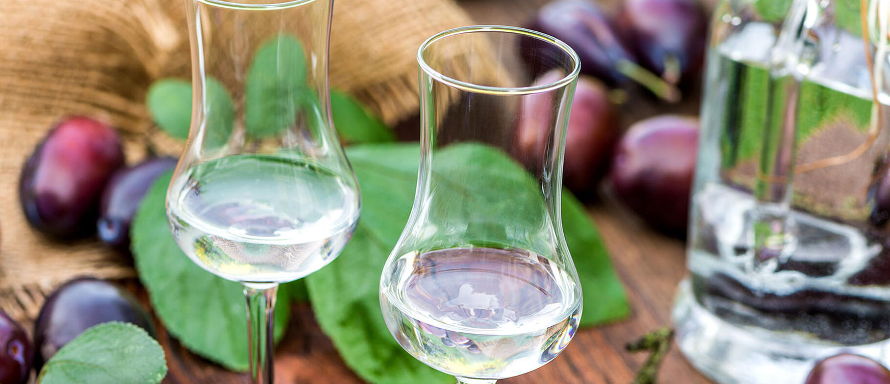 Platzhaltertext für den Slider 2